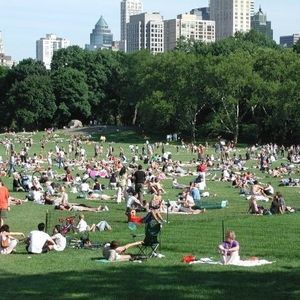 Meet your Posher, Edras